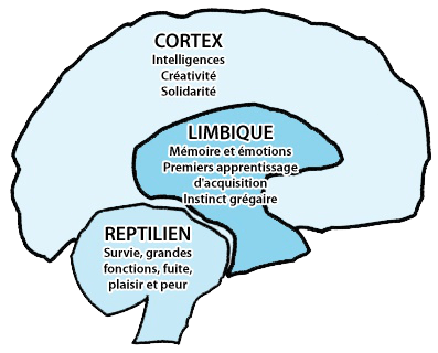 Le Cerveau tri-unique