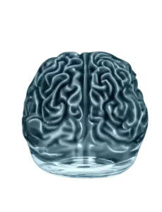 De multiples approches pour travailler avec un cerveau apaisé : hypnose, PNL, psychothérapie,