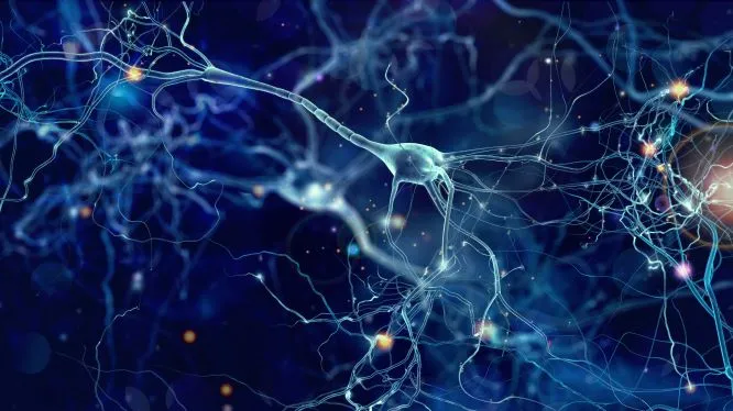 Psychothérapie et hypnose