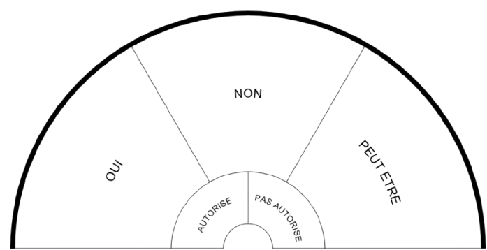 Permis de cerveau - Cerveau expérientiel