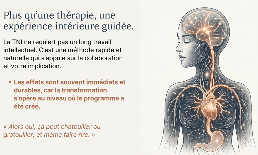 TNI, une expérience naturelle et collaborative