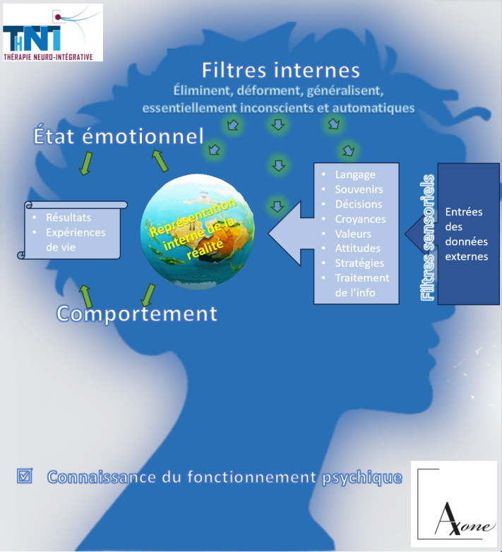 Notre expérience humaine est interprétée à l'aune de nos filtres sensoriels, cognitifs, émotionnels et de nos expériences antérieures.